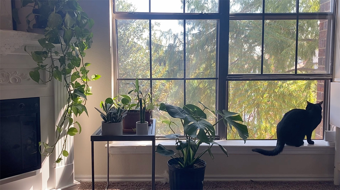 Social Good: WindowSwap